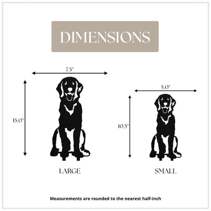 Flat Coated Retriever