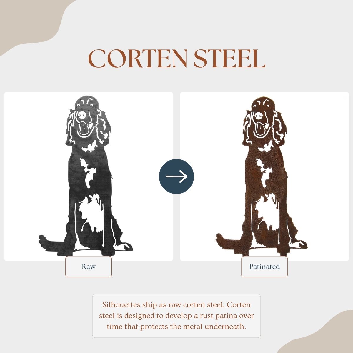 English Setter