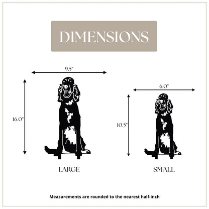 English Setter