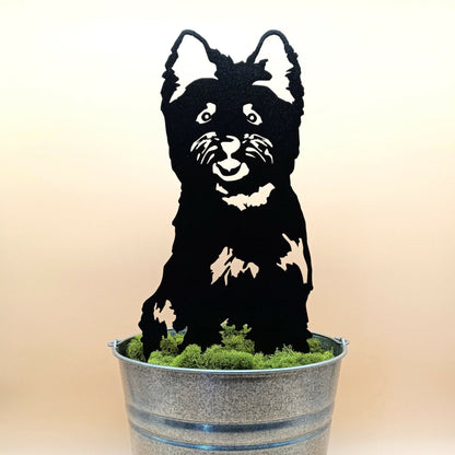 West Highland White Terrier
