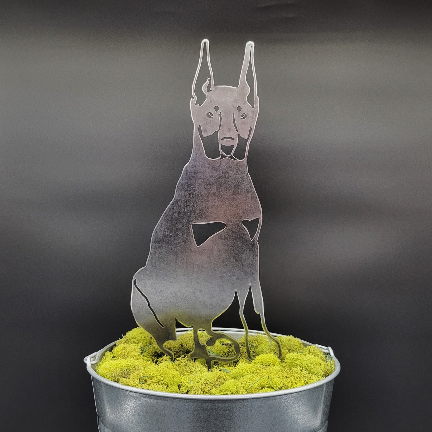Miniature Pinscher