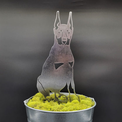 Miniature Pinscher