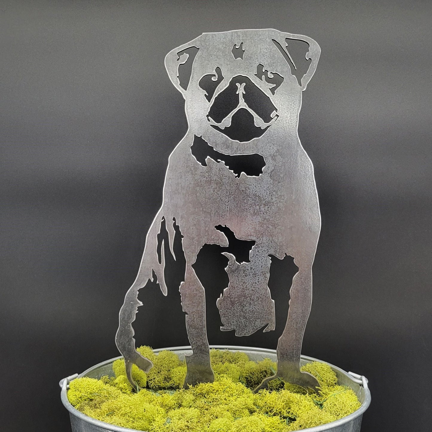 Pug
