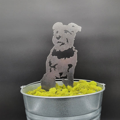 Schnauzer