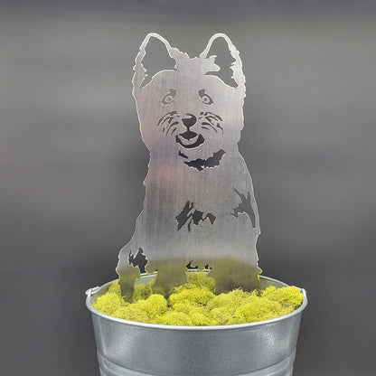 West Highland White Terrier