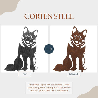 Norwegian Elkhound
