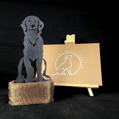 Flat Coated Retriever