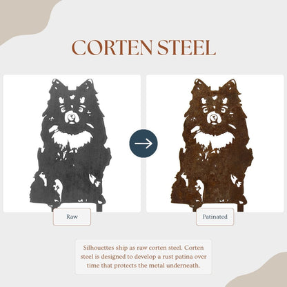 German Spitz