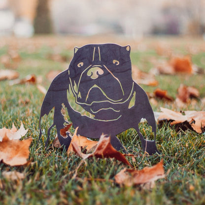 American Bully