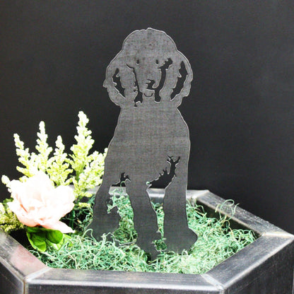 Poodle