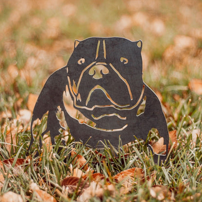 American Bully
