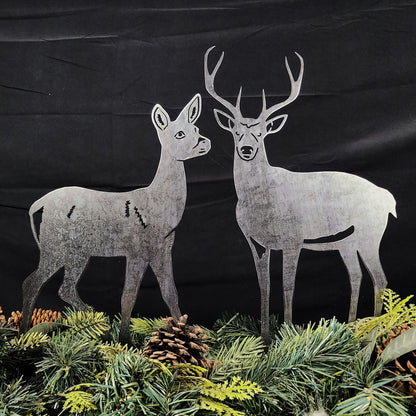 Deer - Buck