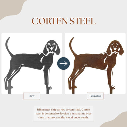 Redbone Coonhound