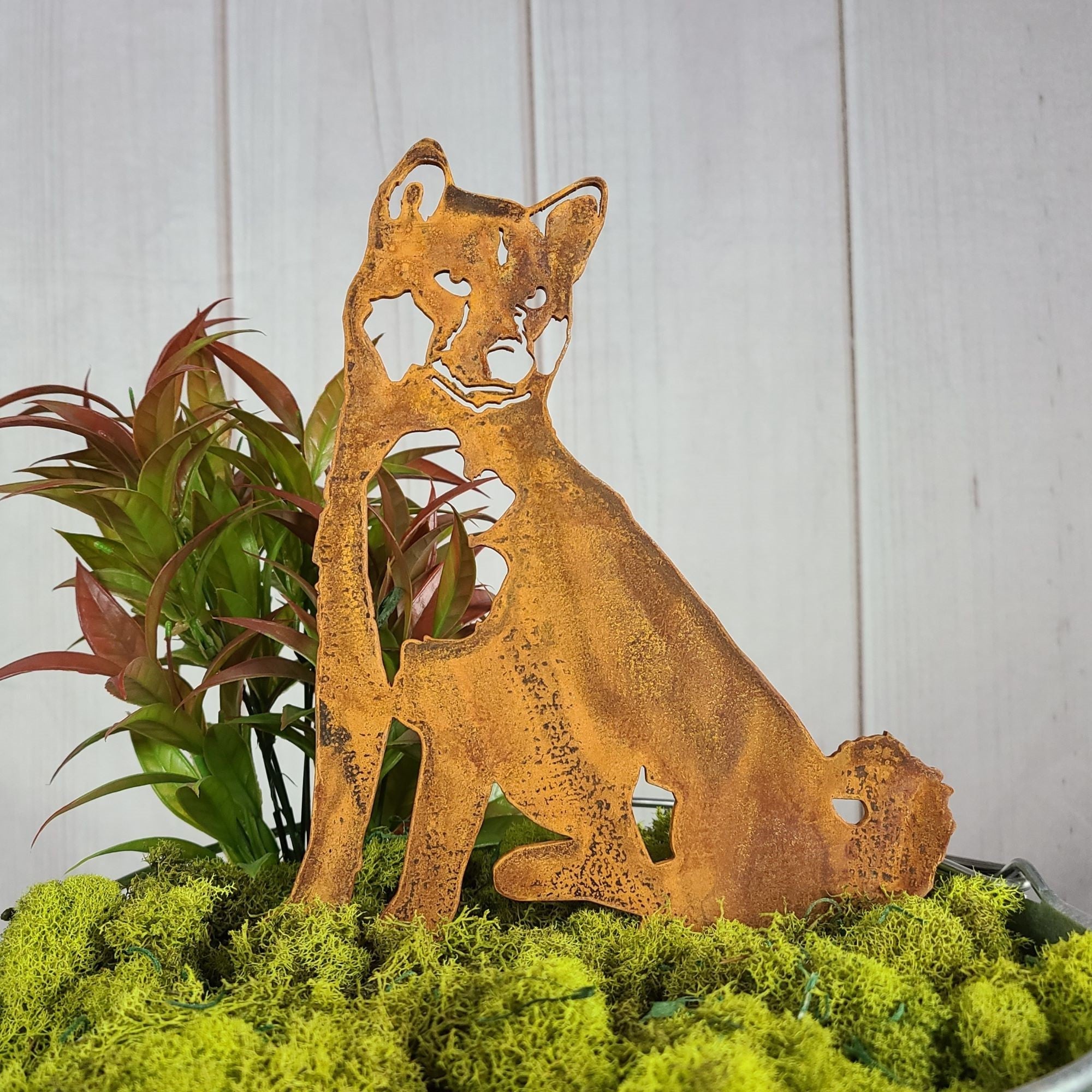 Shiba Inu – DirkyThreadz