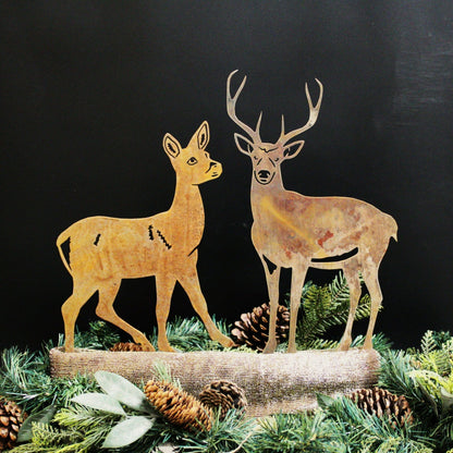 Deer - Buck