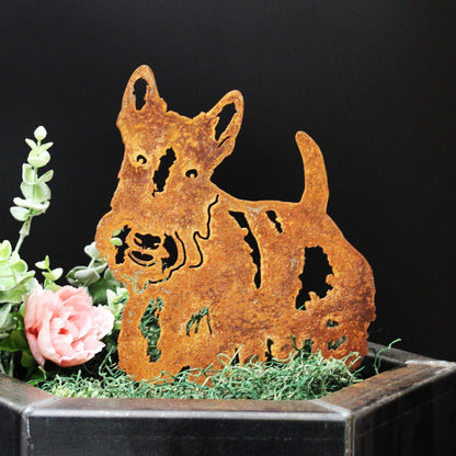 Scottish Terrier