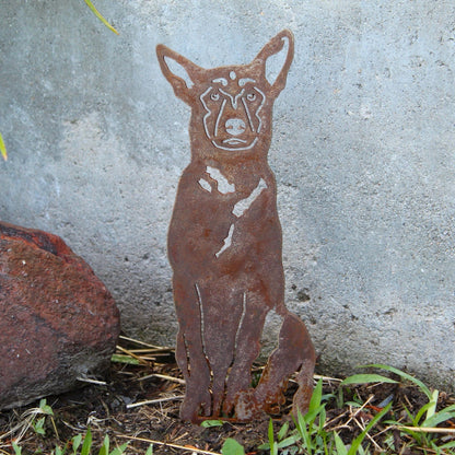 Belgian Malinois