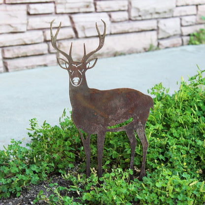 Deer - Buck