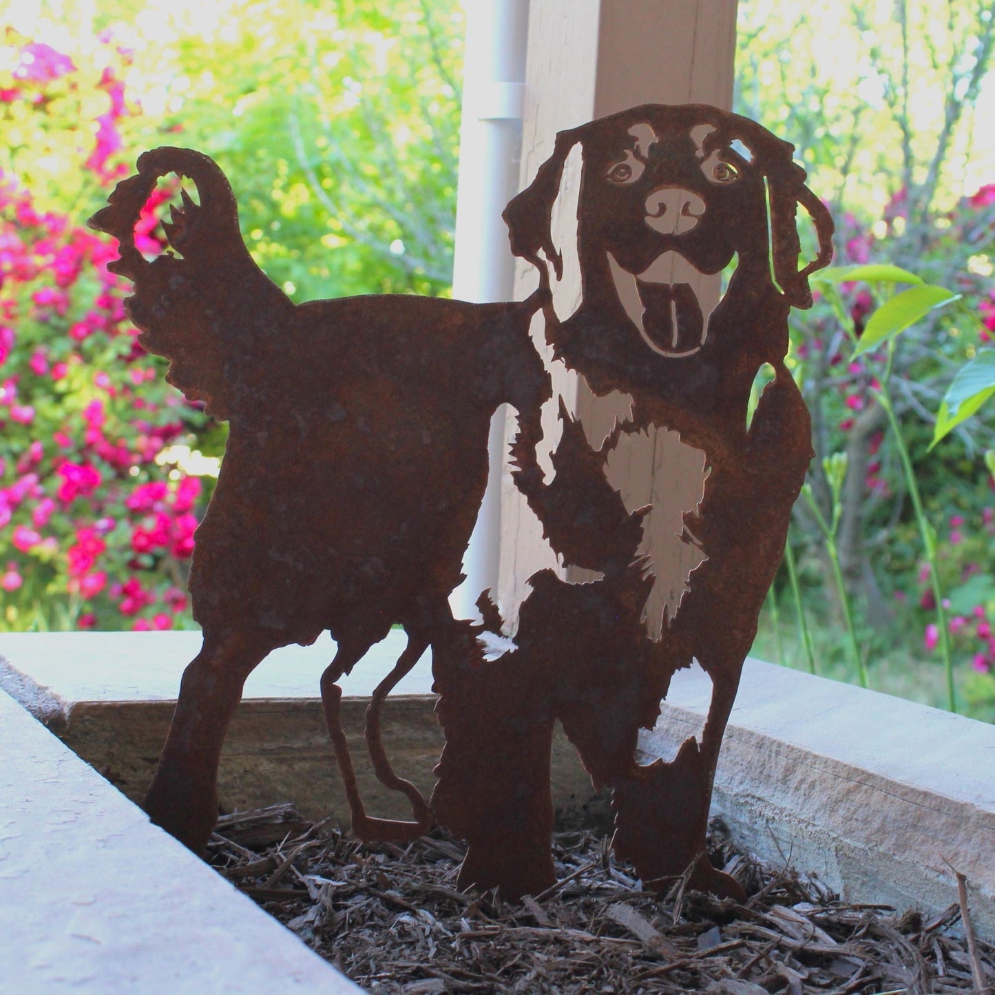 Golden Retriever - Standing