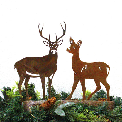 Deer - Buck