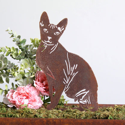 Sphynx