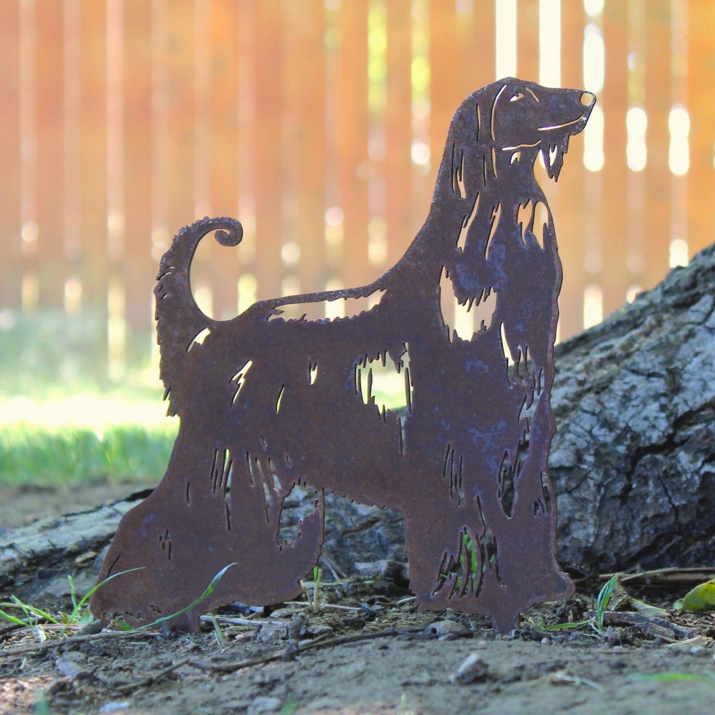 Afghan Hound
