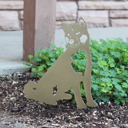 Limited Edition *Gold* Shiba Inu