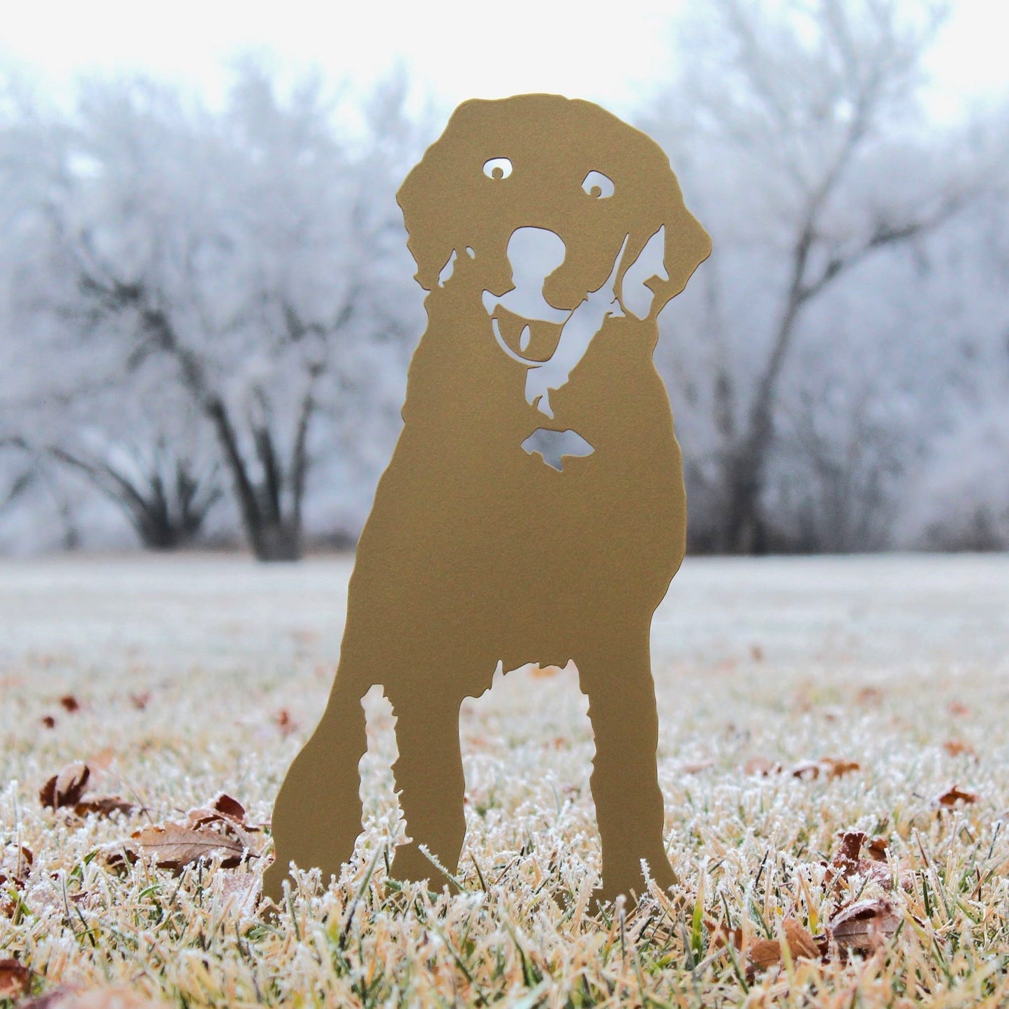 Special Edition *Gold* Labrador Retriever