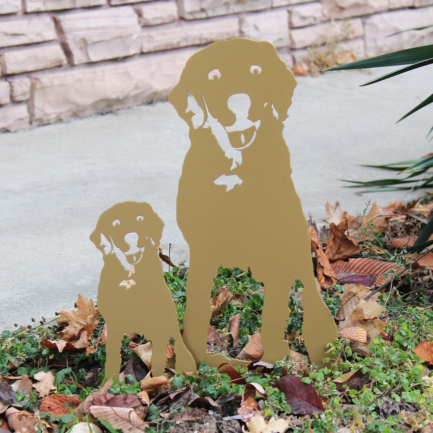 Special Edition *Gold* Labrador Retriever