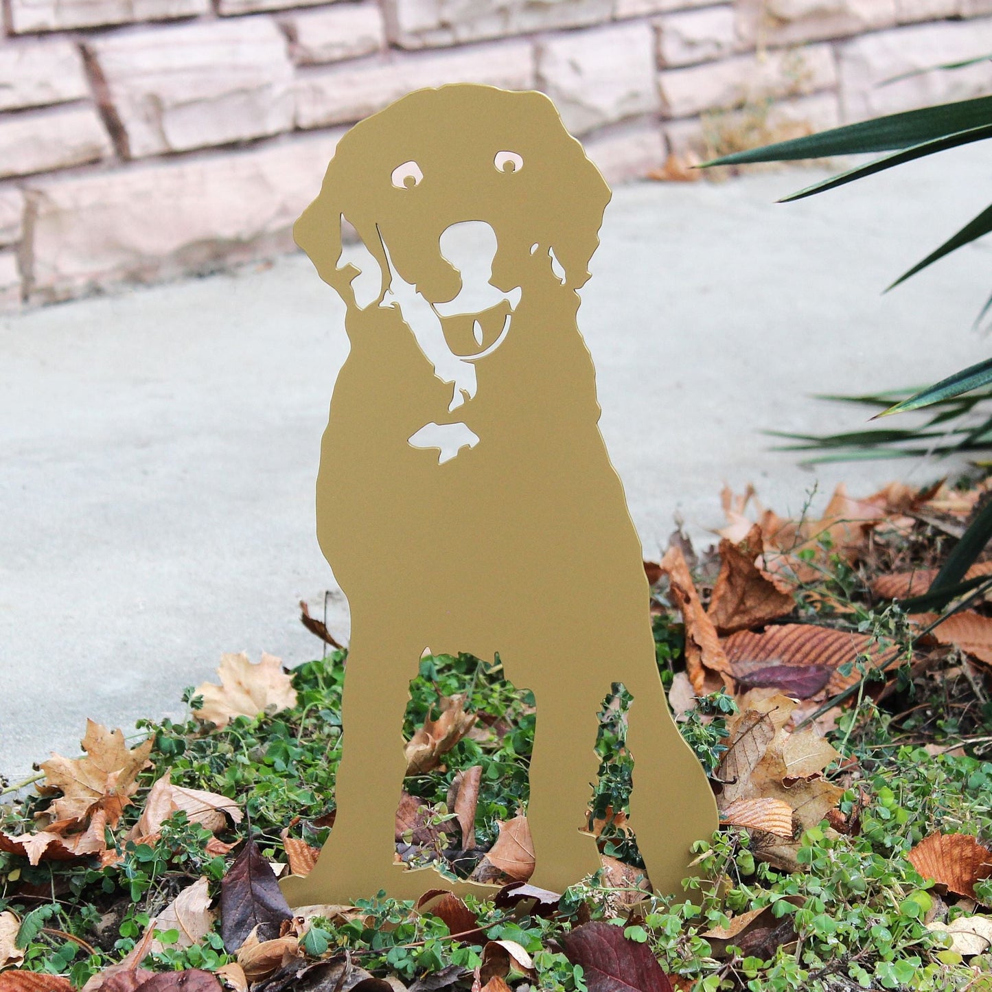 Special Edition *Gold* Labrador Retriever