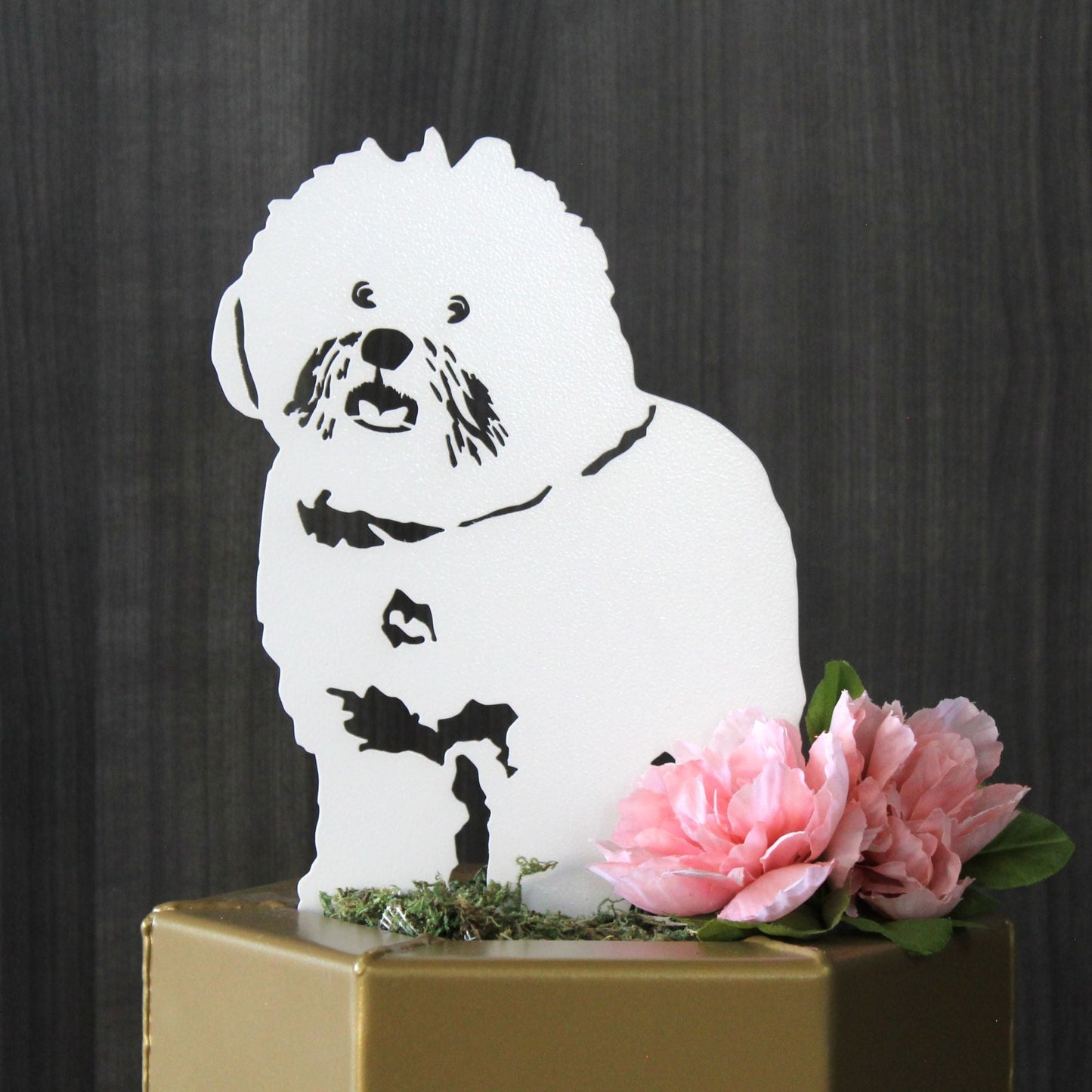 Bichon Frise