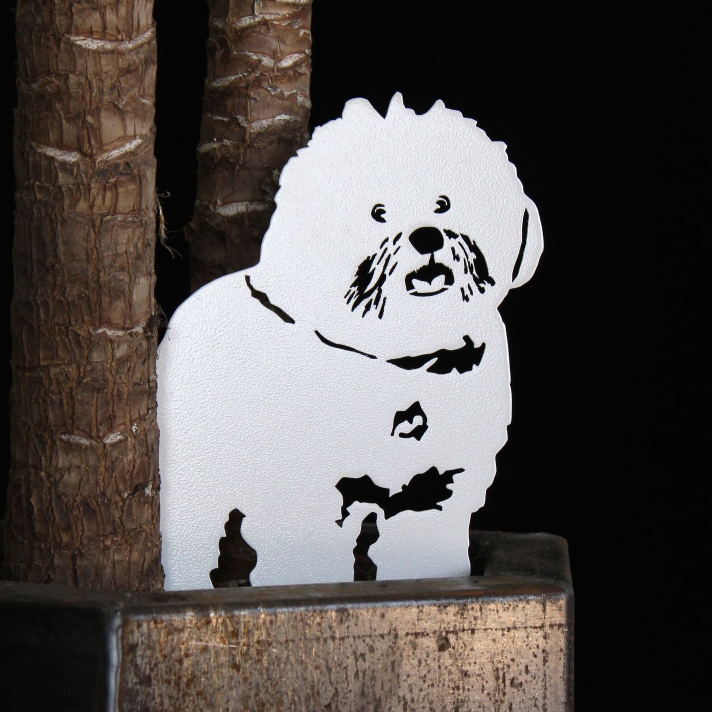 Special Edition *White* Bichon Frise