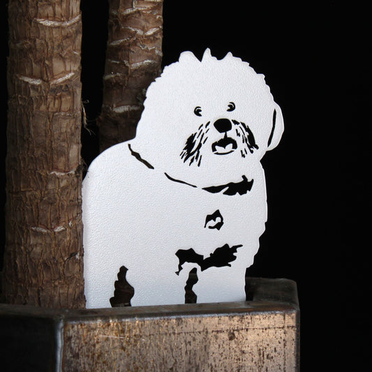 Special Edition *White* Bichon Frise