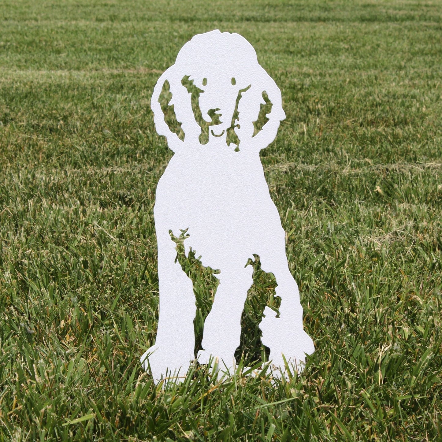 Poodle