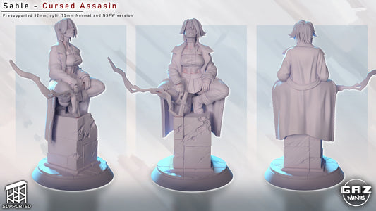 Sable - Cursed Assassin