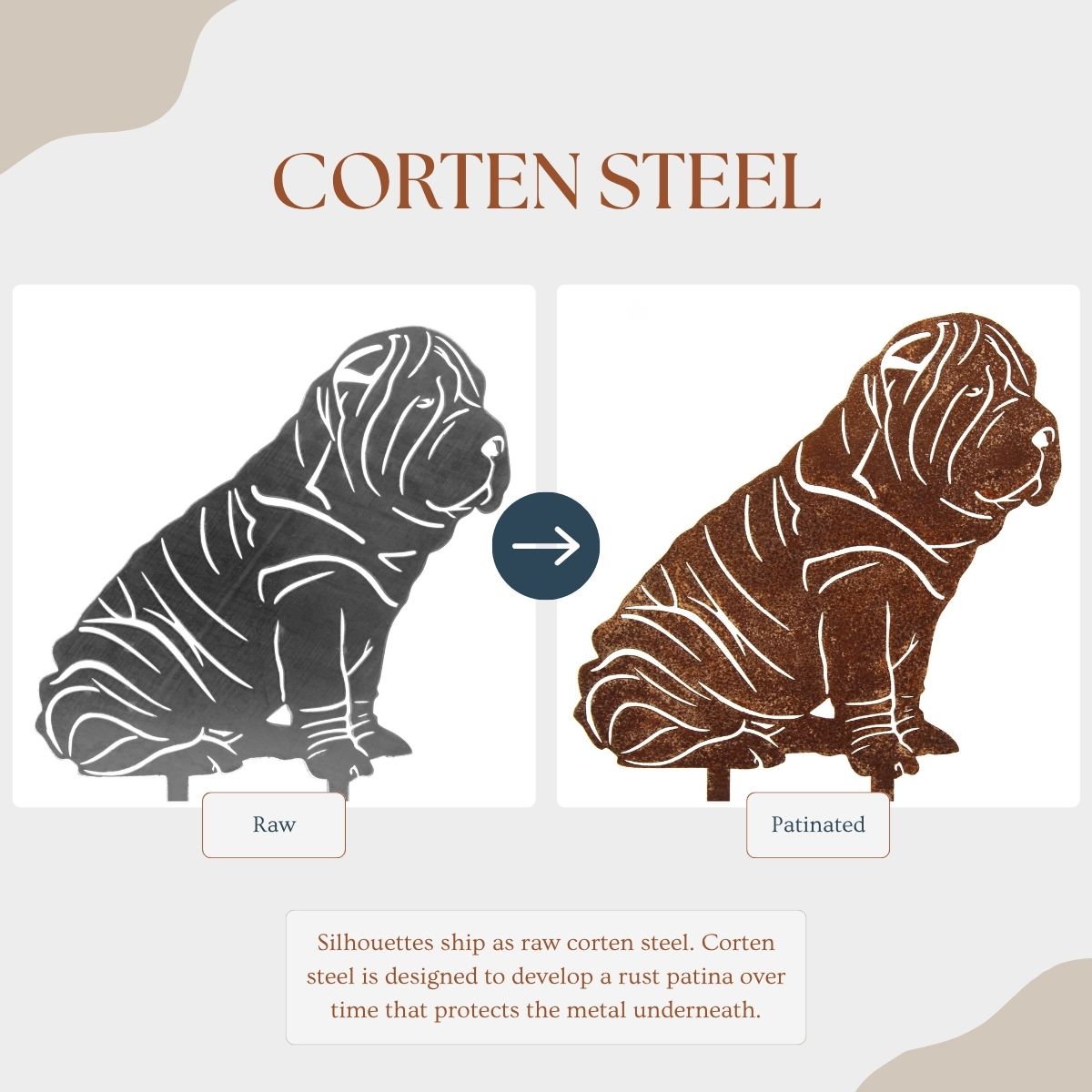 Shar Pei