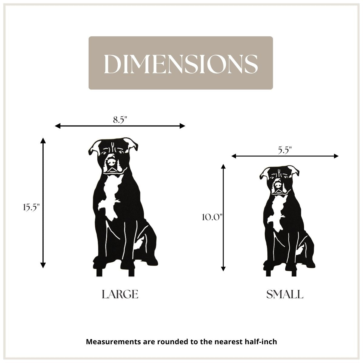 American Staffordshire Terrier
