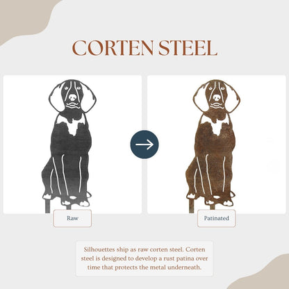 Treeing Walker Coonhound