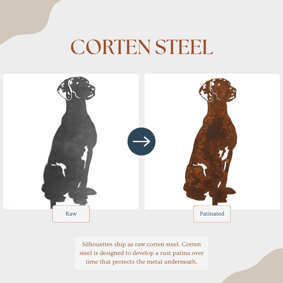 Rhodesian Ridgeback