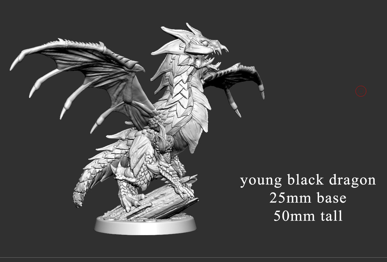 Young Black Dragon